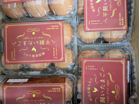 国内流通約5％　純国産鶏「もみじ」が産む大和高原の平飼い卵　30個