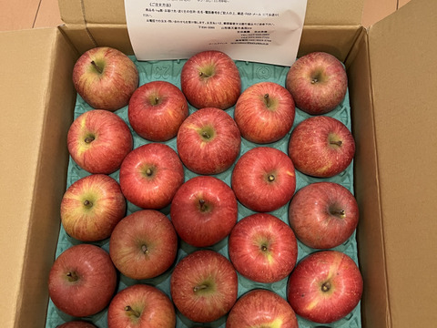 山形産　完熟　ふじりんご　５㌔　食べきりサイズ　２３玉