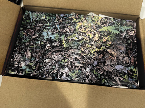 【春限定】今が旬の「生」にんにく500g【屋久島産】