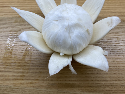 サラダラティーナ約5㎏(20～30個)、土ん中でカーニバル！腐植栽培と微生物が踊らせたフルーツみたいなカブ 農薬・化学肥料・除草剤不使用