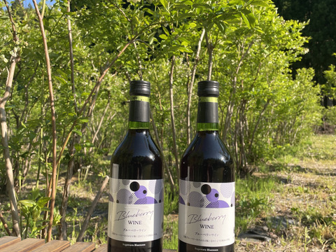 我が家の果実で作ったブルーベリーワイン720ml✖️2本