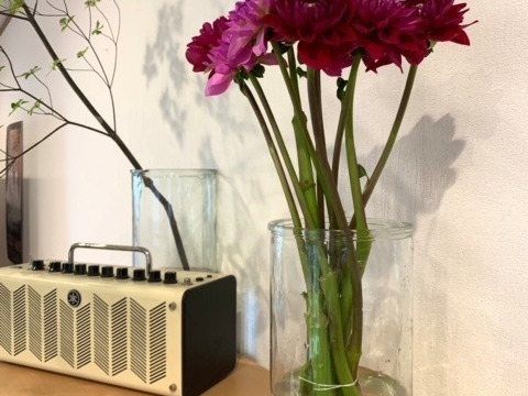 ダリア　【エタニティロマンス&ルージュ】（各5本）計10本束　30〜50㎝