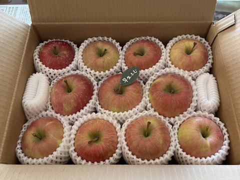 【人気品種】🍎早生ふじ約3キロ🍎8〜12玉《家庭用》ID284719