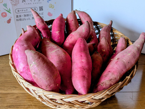 しっかり甘い、しっとり旨い「晩秋のお月見さつまいも」5kg