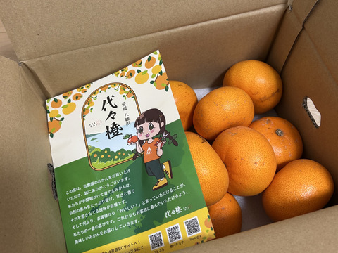 【 発送開始】代々橙せとか　家庭用３kg♪
