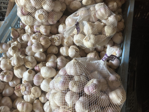 アミノ酸たっぷり　熟成黒にんにくパウダー　１袋30g