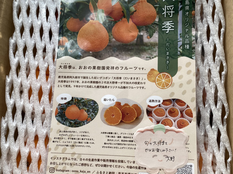 《大将季(だいまさき)》甘くてジューシーな紅い不知火！　5kg(家庭用)