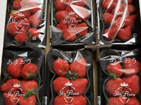 🍓イチゴ🍓家庭用🍓福岡県産🍓  空中で真っ赤に実る🍓
【あまおういちご 1080g】 180g×6pc