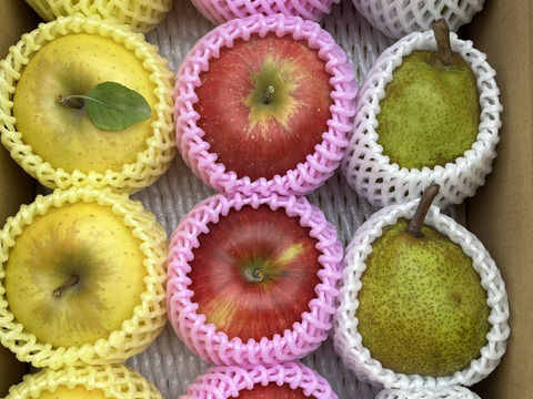 近日中発送！りんご ラフランス 詰合せ 約3kg フルーツボックス♪