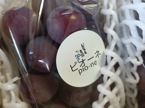 岡山県産ピオーネ2kg(3〜4房)