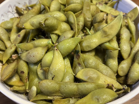 丹波篠山　黒枝豆　さや700g×2