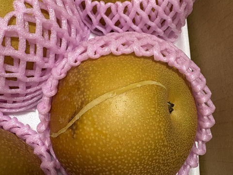 昨年大好評！『清流球磨梨』あきづき　約5kg(5〜14個入り)