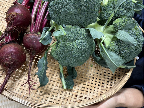 栄養満点！ブロッコリーとビーツのスーパーフードセット