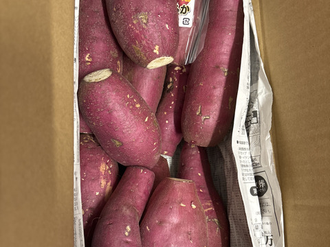 訳ありでもホックリサラリ！新品種「ゆきこまち」色々なサイズ入り  3キロ箱