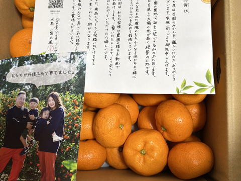 【食べチョクで１番売れてるみかんです！】夕やけみかん（5㎏）（圧倒的人気のみかんです！）※1月10日以降発送