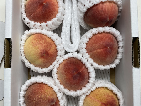 【家庭用】温室桃はなよめ計900g(5〜8個入り)
