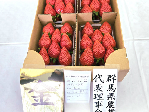 【今が旬】【特大サイズいちご🍓】拳と同じくらい大きいいちご 50g以上の特大サイズ 580g2パック