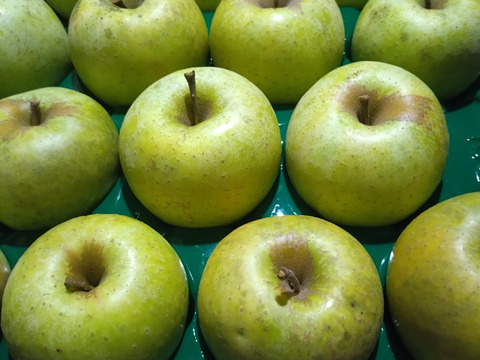 芳醇な香り『王林』22〜23個入り