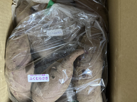 【ほくほく・ねっとり食べ比べ】東京で作ったさつまいも「シルクスイート」「ふくむらさき」「くりかぐや」（ご家庭用２㎏）東京エコ100