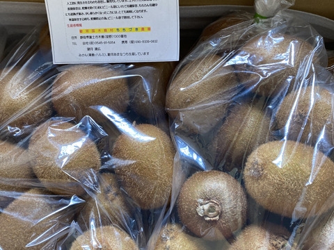 ビタミンたっぷりキウイふる～つ　家庭用Ｓサイズ４K【品種ヘイワード】