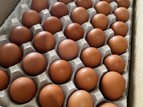 ちょうど良いサイズ感、大家族・業務用に最適160個💦オレンジ色が鮮やか🎵濃厚な黄身🍳、黒麹育ちの赤たまご160個