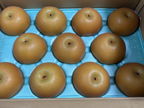 甘いのに後味サッパリ！あきづき(5kg)