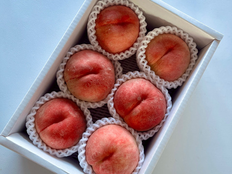 《旬の白桃》桃ギフト 2kg