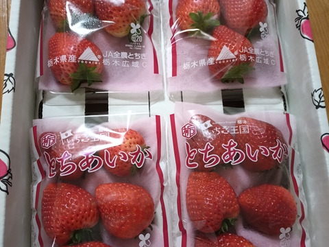 (4P)約1kg【いちご・とちあいか】実がしっかりして酸味が少なく甘さが際立つ新品種★「とちあいか」(４パックx260g) 栃木県産いちご●一番人気いちごセット●お届け日指定可