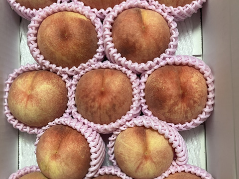 【お試し規格】訳あり C品　約3kg　8～14玉　8月下旬　お得にたくさん食べたい方へ　農家直送