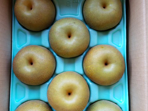 千葉県産 新鮮な幸水梨 約10kg20玉前後 秀品 大玉 甘くてジューシー 贈答品】梨 幸水 秀品 3Kg箱 中玉（9玉 ~ 10玉)_2025：千葉県産の幸水