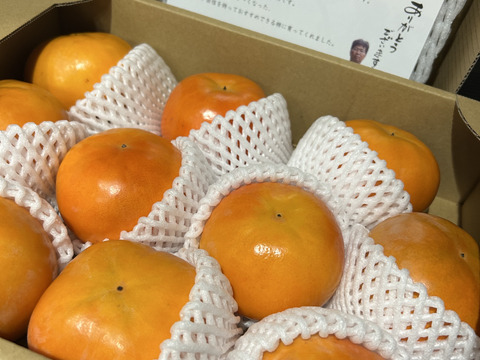 贈ってもらえると嬉しい　和歌山晩秋の味覚　富有柿　贈答品（10個入）
