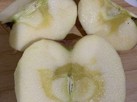 【正規規格品】サンふじ　約5kg(送料別)