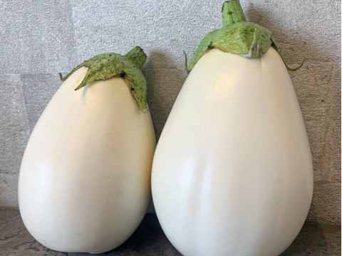 とろーり旨なす】京都産 白なす 4個セット〔約1.2kg〕：京都府産の