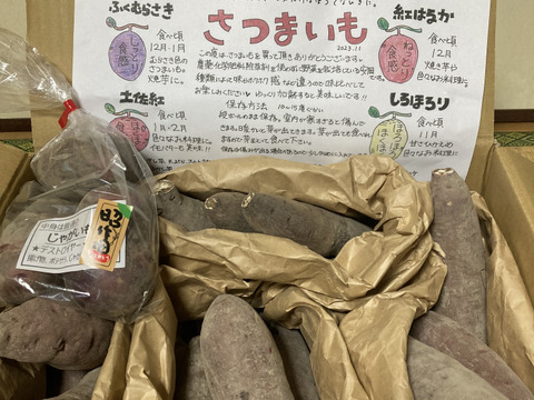 【3種食べ比べ・5kg】南国高知のサツマイモ