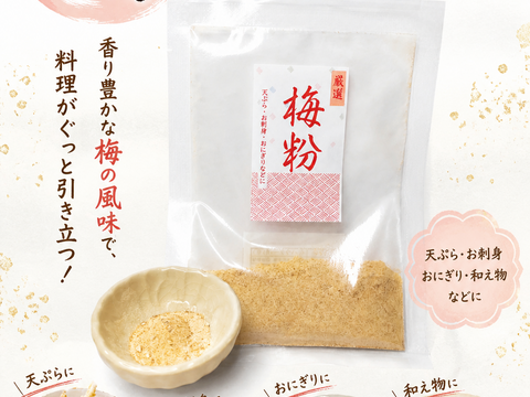 梅粉(梅パウダー)20g×2袋