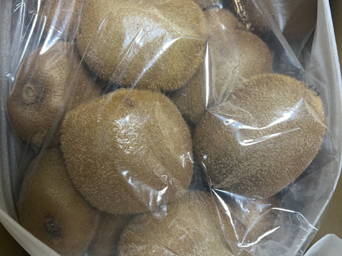 ビッくりキウイふる～つ（偏平Ｌ）2K箱【品種ヘイワード】）