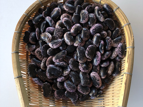 片品高原の花豆2キロ