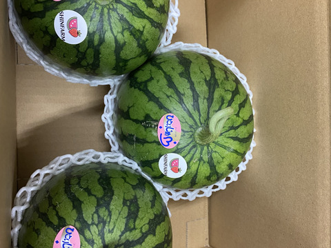 お手ごろサイズ♪名産地熊本県よりお届け‼︎小玉スイカ3玉入り(1.35kg〜1.6kg×3玉）