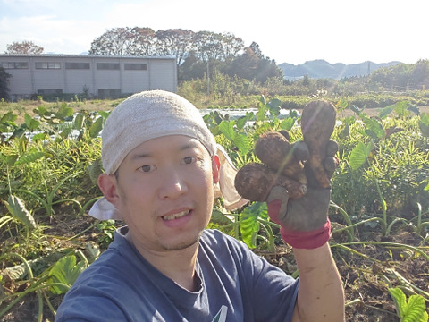 【農薬及び化学肥料不使用】ねっとり滑らかな里芋（3k）
