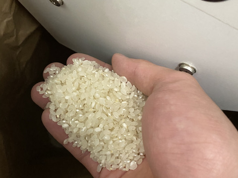 新米コシヒカリ‼️天日干し米5キロセット