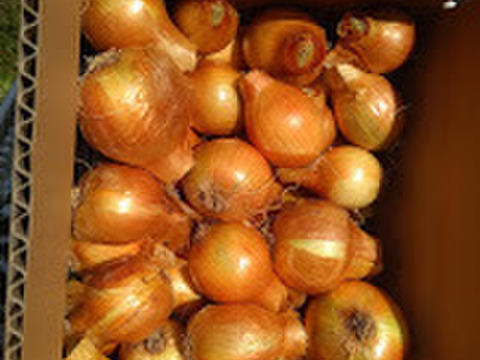 【訳あり】玉ねぎ3.5kg 早い梅雨入りと、暑さで、中でちょっと ...