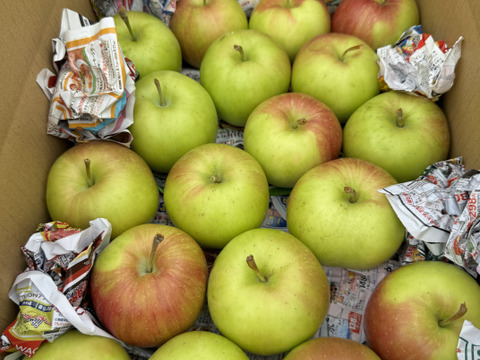 【希少品種】 夏緑(りんご) 18個入り　約3キロ