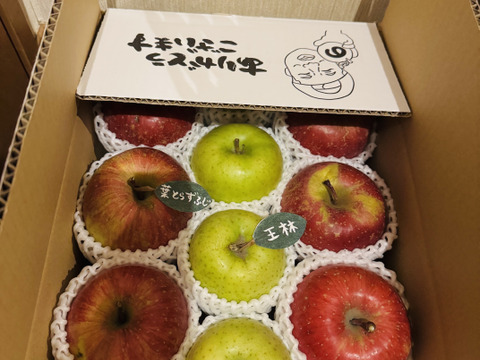 ★★新春セール★★【冬ギフト】【食べ比べ】 🍎大人気🍏葉とらずふじ・王林  計８～1２玉
詰め合わせ3キロ箱 ミックス ID118320