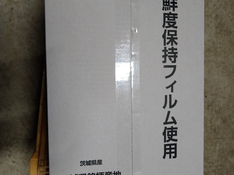 農協サイズ　訳アリ　常温便 れんこん 4キロ×３箱　　蓮根　レンコン