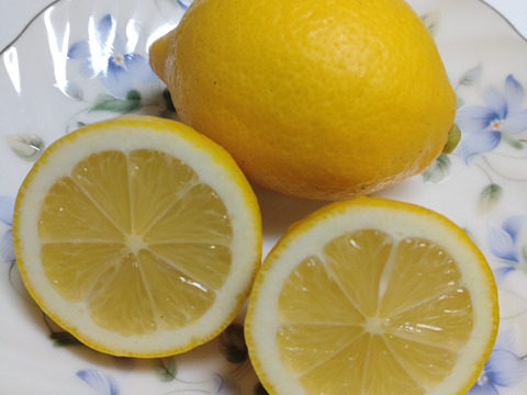 低農薬栽培　 広島県産　レモン 2kg(箱込み)
