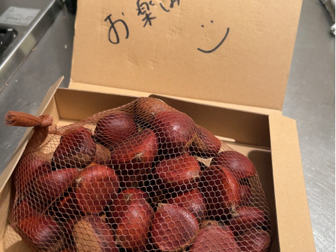 1kg鬼皮も渋皮も楽に剥ける！調理が簡単なぽろたん　那須栗
