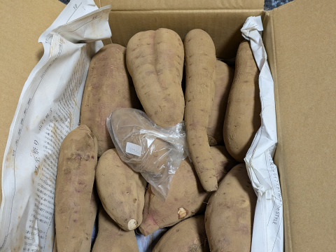 糖度60度超え🍠極甘❣️さつまいもねっとり系代表【紅はるか】4.8kg M〜2L