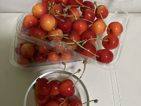 予約★北海道仁木町産さくらんぼ（紅秀峰）350ｇｘ２パック