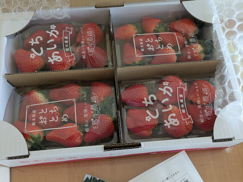 【新旧対決？】とちぎのいちご『とちあいか』・『とちおとめ』2種食べ比べセット（4パック）（260ｇ×4パック）【いちご食べ比べ】「熨斗対応可」