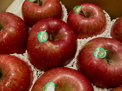 贅沢な1品！！　蜜入り高級りんご！　葉とらずサンふじ　約3キロ